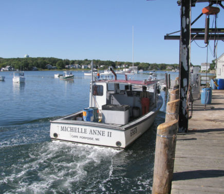 1lobstering5