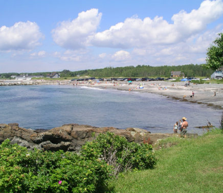 Beach_colony