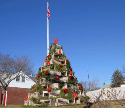 Cape-porpoise-christmas-tree