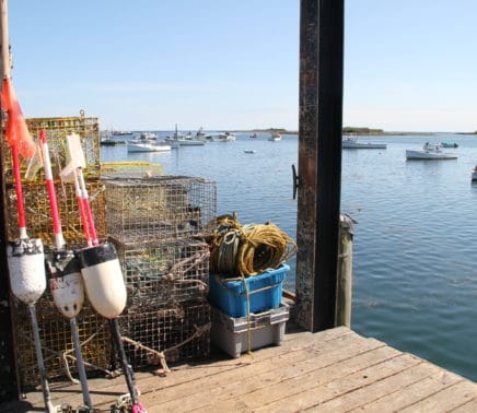 Cape-porpoise-pier-bouys2