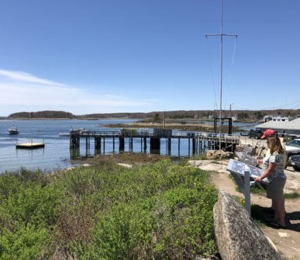 Cape-porposie-pier