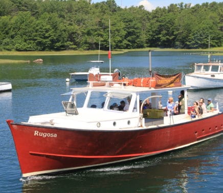 Rugosa-lob-boat-tours