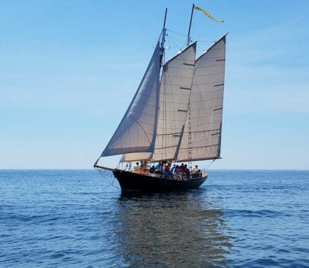 Schooner-elonor-july (9)